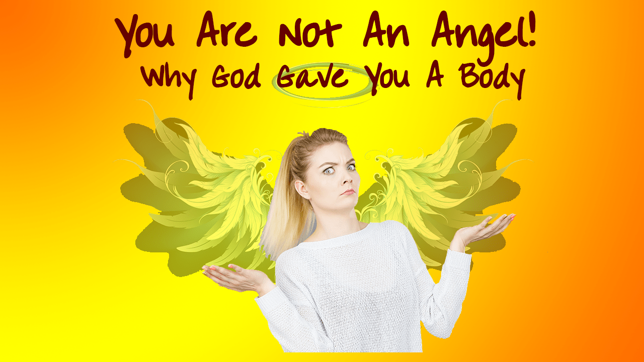 You Are Not An Angel: Why God Gave You a Body